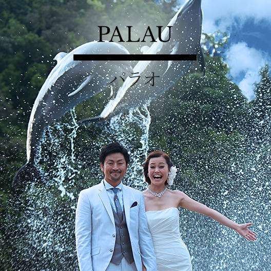 パラオ ウエディング